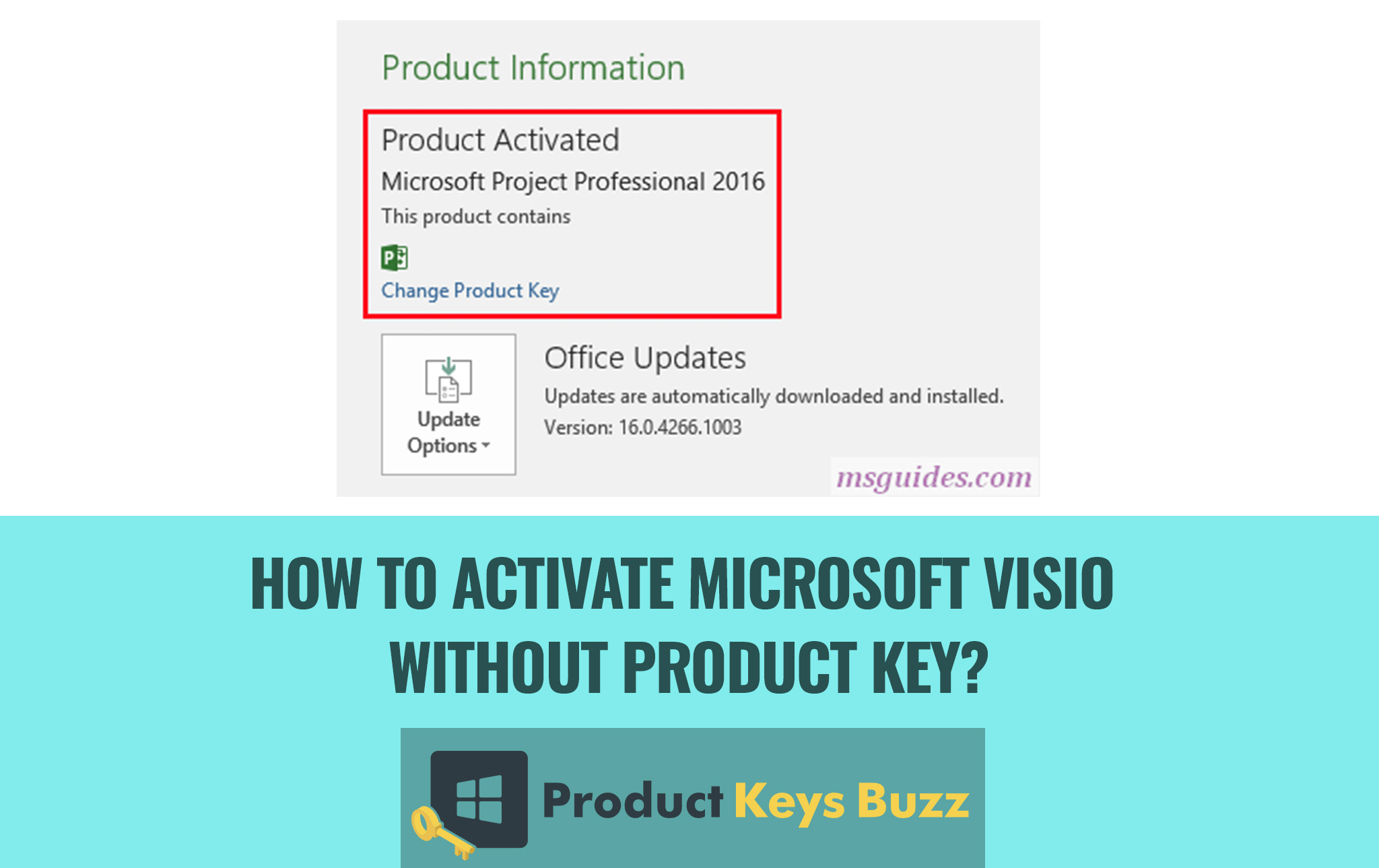 Ms Project Professional 2013 Product Key Generator
